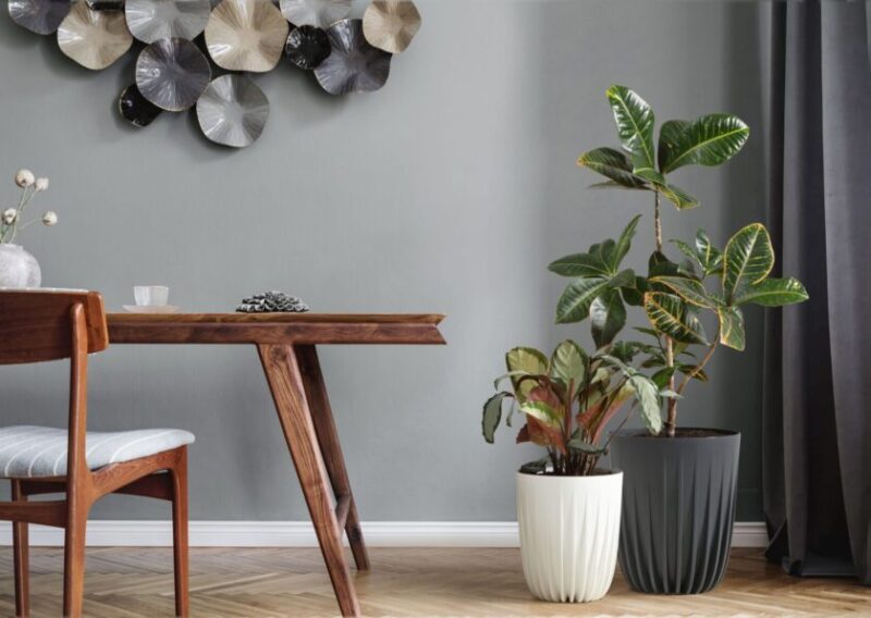DONICZKA MIRA ECO RECYCLED