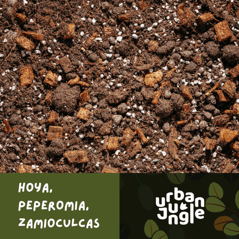 Podłoże Do Hoya, Peperomia, Zamioculcas, Bigos, Ziemia Urban Jungle