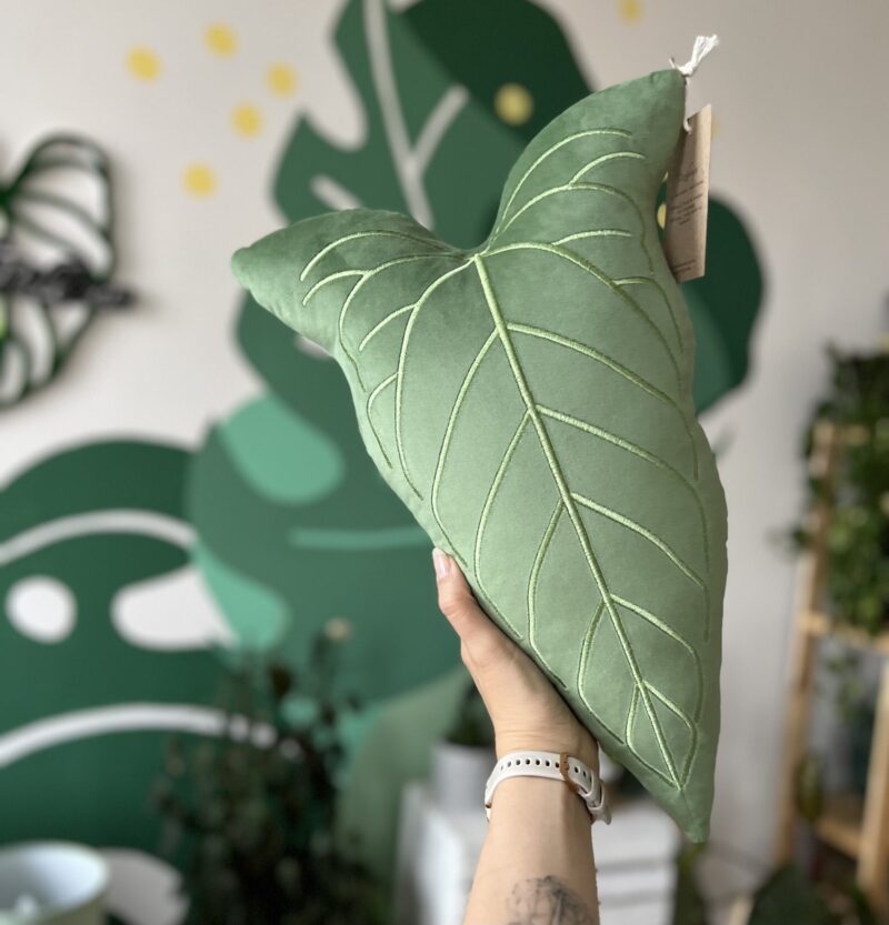 Poduszka Anthurium Magnificum x Moronense Leaf Pillows Poduszka Anthurium Magnificum x Moronense Leaf Pillows