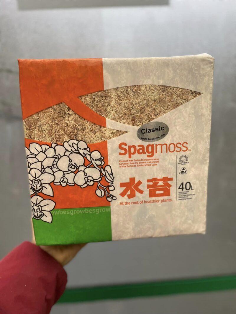 Mech Besgrow Spagmoss Nowozelandzki Torfowiec Mech Besgrow Spagmoss Nowozelandzki Torfowiec