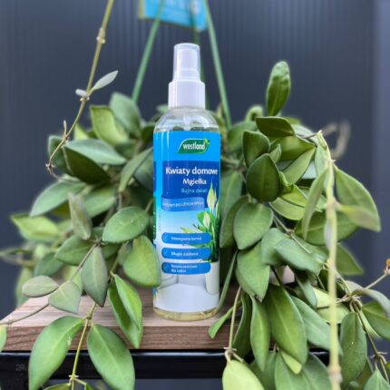 Mgiełka do kwiatów domowych 250 ml | Westland