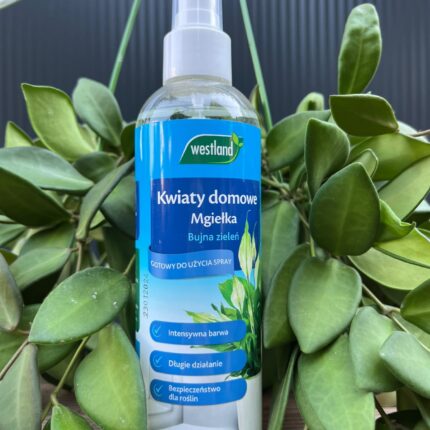 Mgiełka do kwiatów domowych 250 ml | Westland