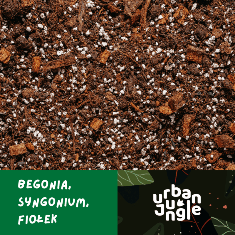 Podłoże Do Begonii, Syngonium, Fiołka, Bigos, Ziemia Urban Jungle Podłoże Do Begonii, Syngonium, Fiołka, Bigos, Ziemia Urban Jungle