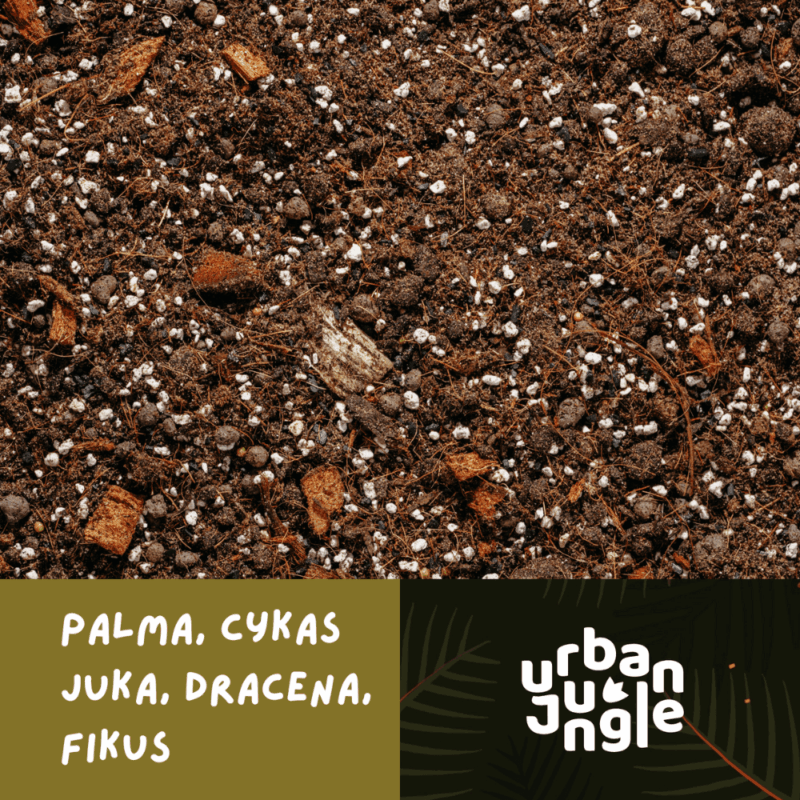 Podłoże Do Palmy, Cykasa, Juki, Draceny, Fikusa, Bigos, Ziemia Urban Jungle Podłoże Do Palmy, Cykasa, Juki, Draceny, Fikusa, Bigos, Ziemia Urban Jungle