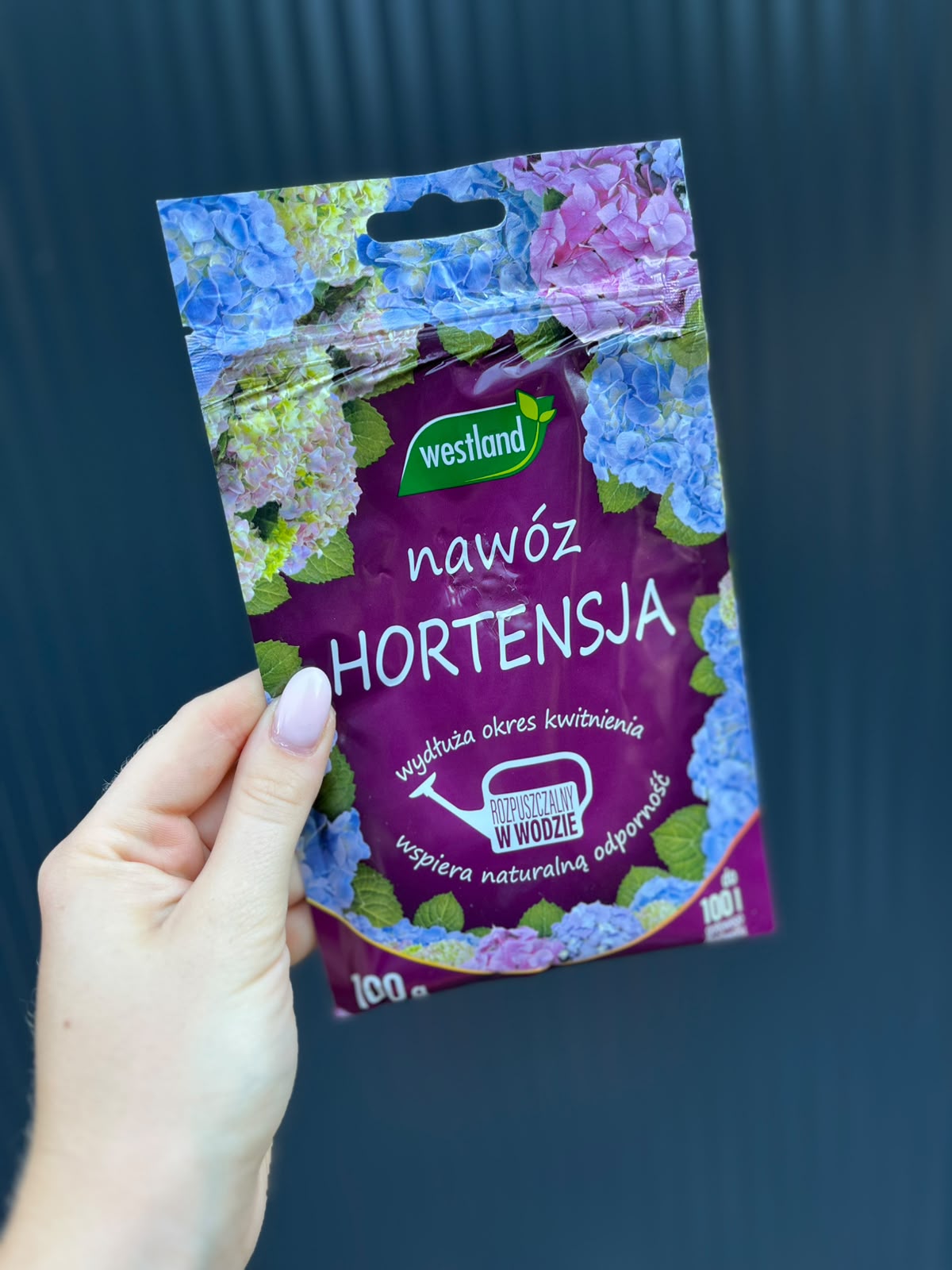 Krystaliczny Nawóz do hortensji 100 g | Westland