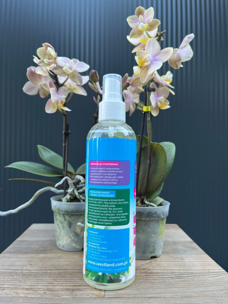Mgiełka do storczyków 250 ml | Westland
