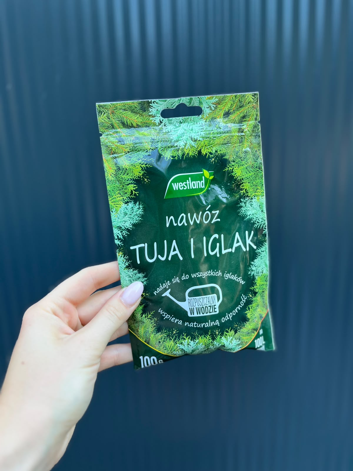 Nawóz krystaliczny do tui i iglaków Westland – 100 g