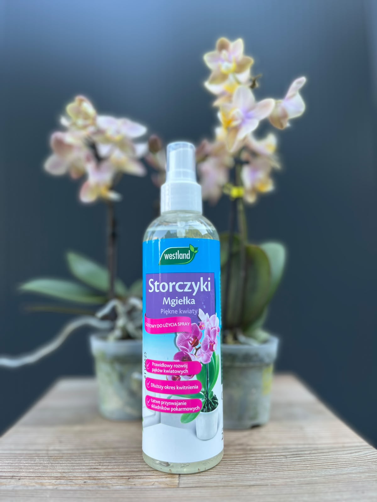 Mgiełka do storczyków 250 ml | Westland