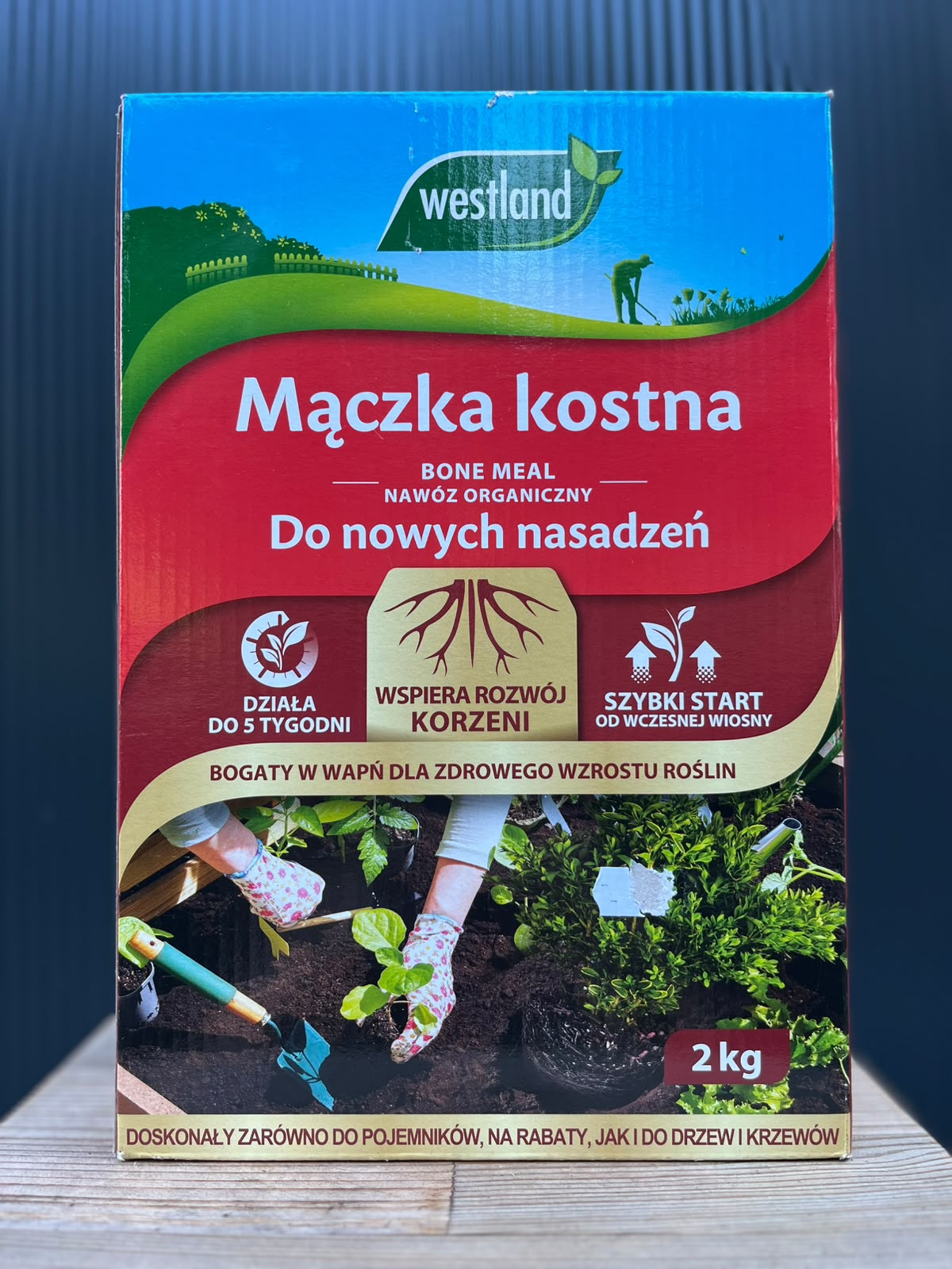 Mączka kostna Westland 2 kg – naturalny nawóz do nowych nasadzeń