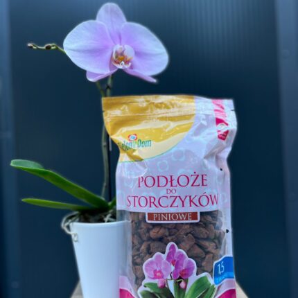 Podłoże z mikoryzą do storczyków 1,5 l – ZIELONY DOM