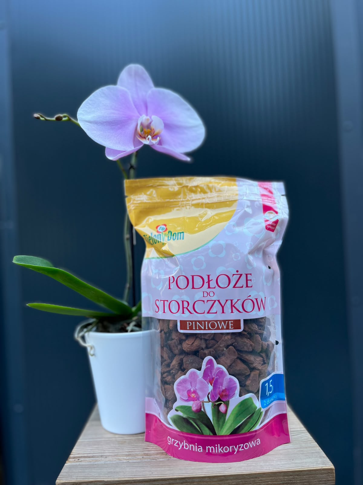 Podłoże z mikoryzą do storczyków 1,5 l – ZIELONY DOM